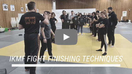 Fight Finishing Techniques 2023